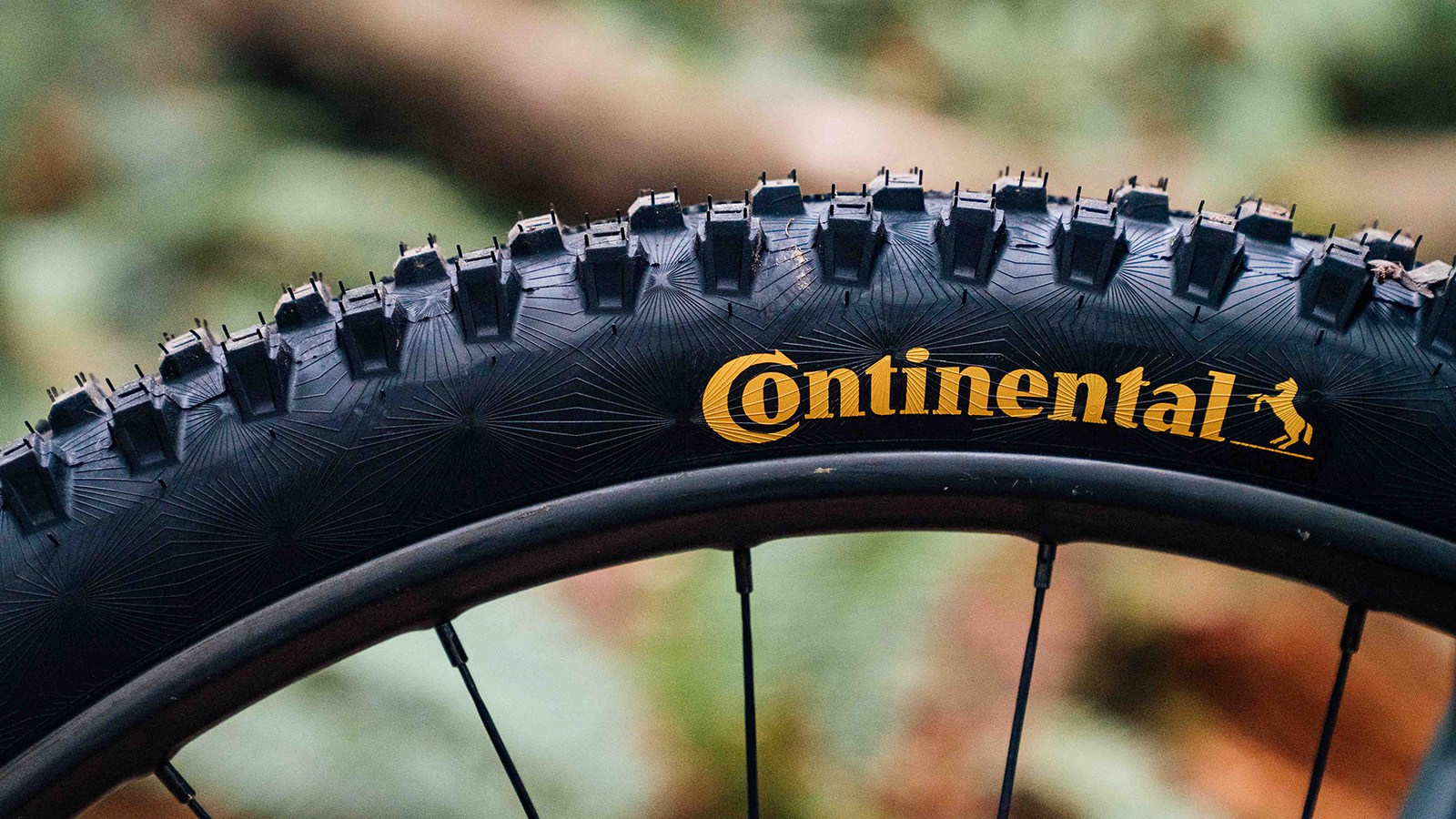 Deals continental 29 tires